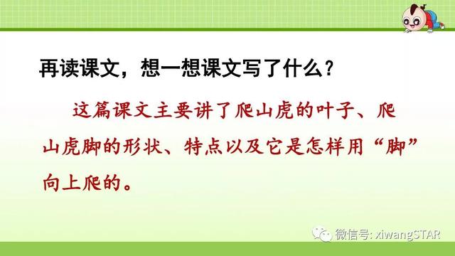 四年级语文上册爬山虎的脚知识点（部编版四年级语文上册第三单元10.爬山虎的脚知识点及练习）(11)