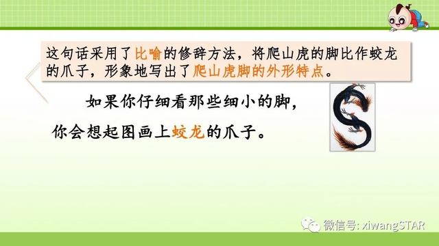 四年级语文上册爬山虎的脚知识点（部编版四年级语文上册第三单元10.爬山虎的脚知识点及练习）(49)