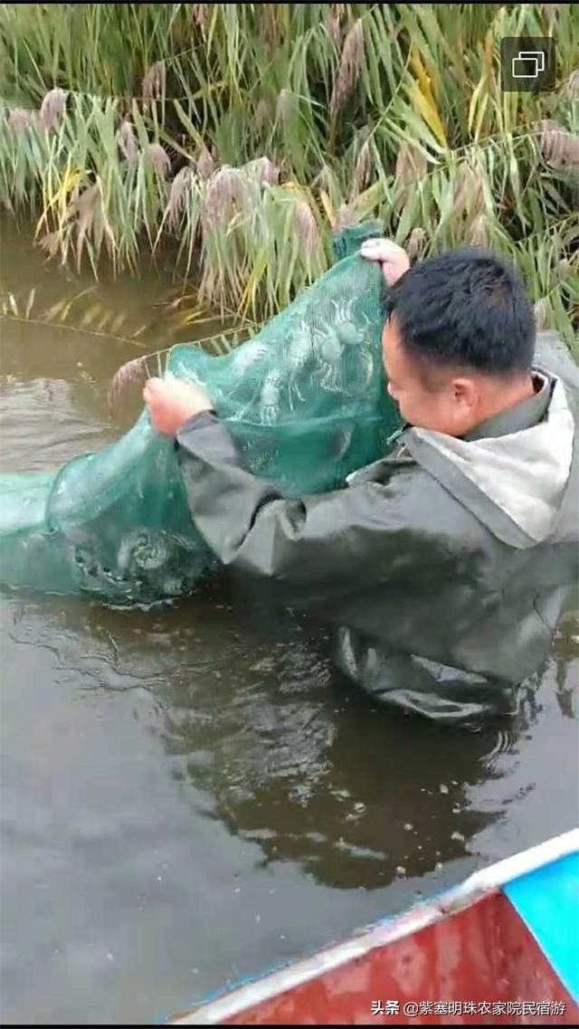 盘锦红海滩一年四季是红色的吗（辽宁盘锦初秋季节的红海滩）(17)