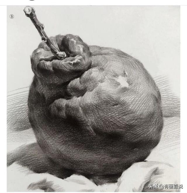 新手素描教程画水果（水果橘子单体画法详解）(15)