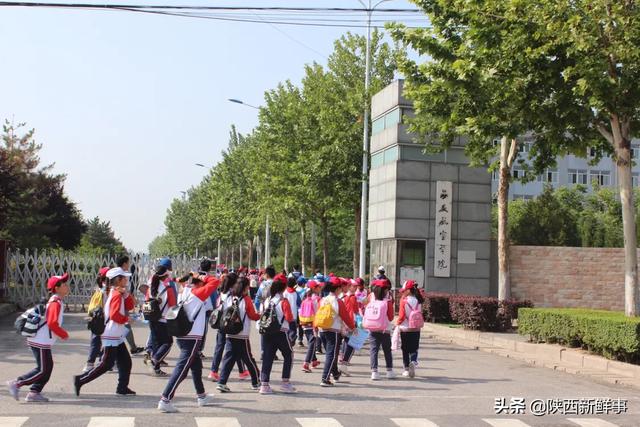 西安带小学生研学旅行（放飞蓝天梦想体验航空乐趣）(6)