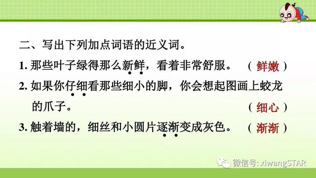 四年级语文上册爬山虎的脚知识点（部编版四年级语文上册第三单元10.爬山虎的脚知识点及练习）(28)