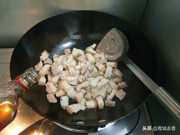 简单的卤肉饭做法大全（最全的卤肉饭做法）(9)