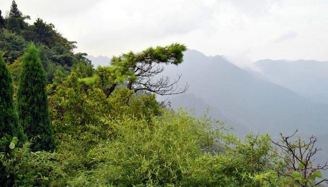 云南易门马头山仙人洞传说（云南镇雄母享仙人洞观音洞凄美悠婉的传说和变迁）(12)