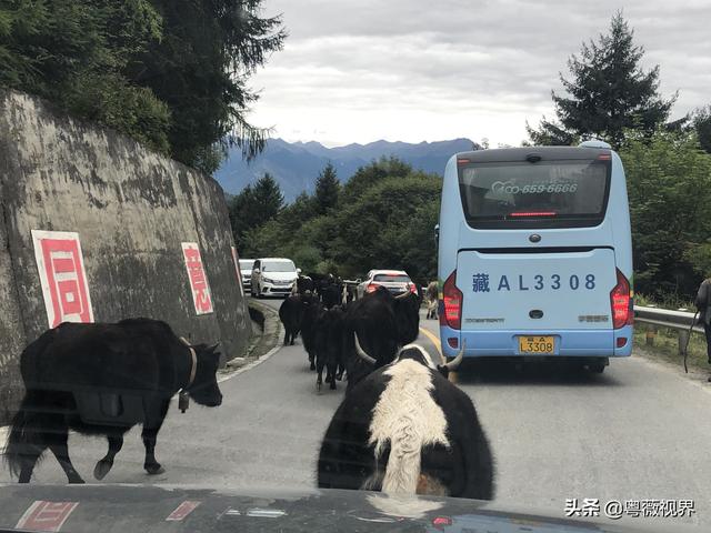 北京到拉萨自己车旅游攻略图（开着汽车去拉萨）(9)