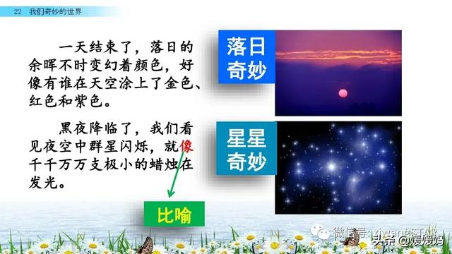 三年级语文下22奇妙的世界教学ppt（部编版三年级下册语文22.我们奇妙的世界学习课件）(37)