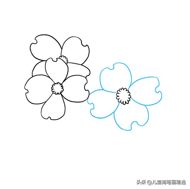 适合小孩子画的简笔画花（儿童简笔画精选-花朵的绘画步骤）(6)