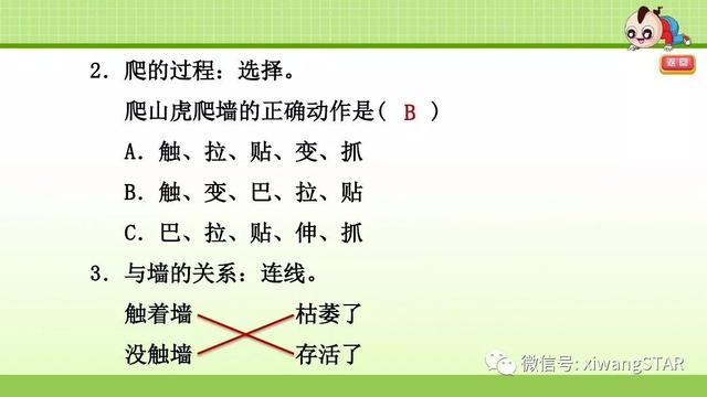 四年级语文上册爬山虎的脚知识点（部编版四年级语文上册第三单元10.爬山虎的脚知识点及练习）(70)