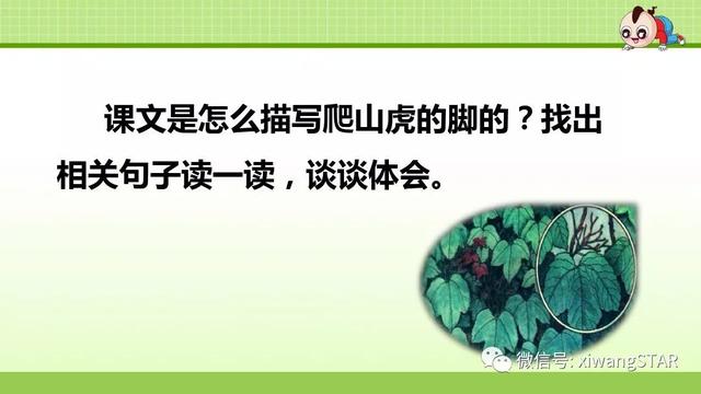 四年级语文上册爬山虎的脚知识点（部编版四年级语文上册第三单元10.爬山虎的脚知识点及练习）(40)