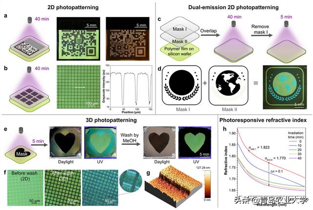 青岛农业大学李峰教授，青岛农业大学韩磊教授联合团队在JACS(3)