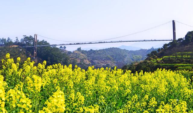 江西上饶哪几个景区比较好（江西上饶名气最大的县）(6)