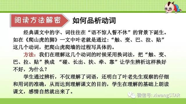 四年级语文上册爬山虎的脚知识点（部编版四年级语文上册第三单元10.爬山虎的脚知识点及练习）(46)