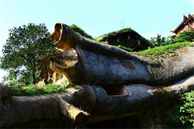 温州适合暑假带孩子旅游的地方（温州亲子游开始）(26)