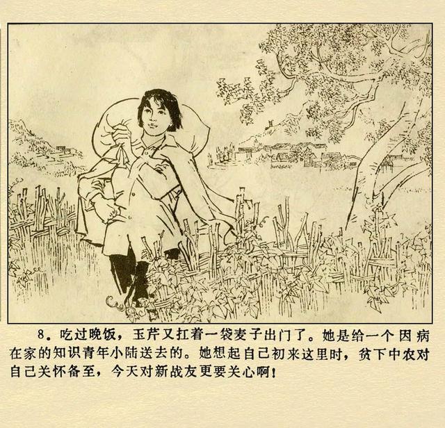 文革本故事连环画（文革本故事连环画）(12)