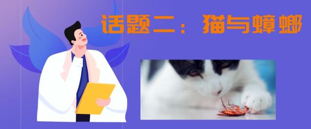 家里养猫可以抓蟑螂吗（家里有蟑螂出没）(9)