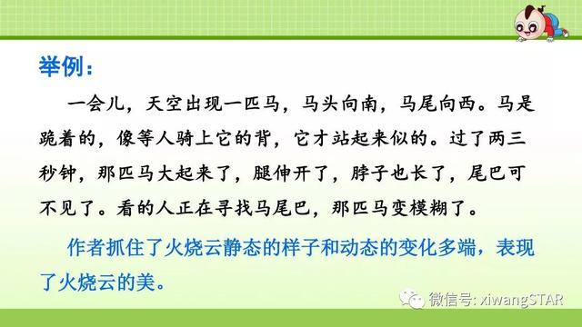 四年级语文上册爬山虎的脚知识点（部编版四年级语文上册第三单元10.爬山虎的脚知识点及练习）(55)