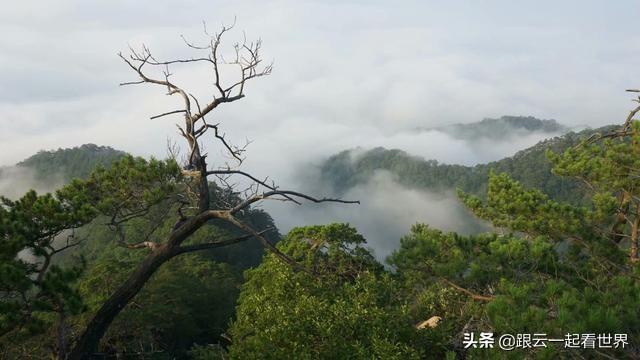 丹东河口旅游攻略自助游（丹东环游记一一绿江村）(5)