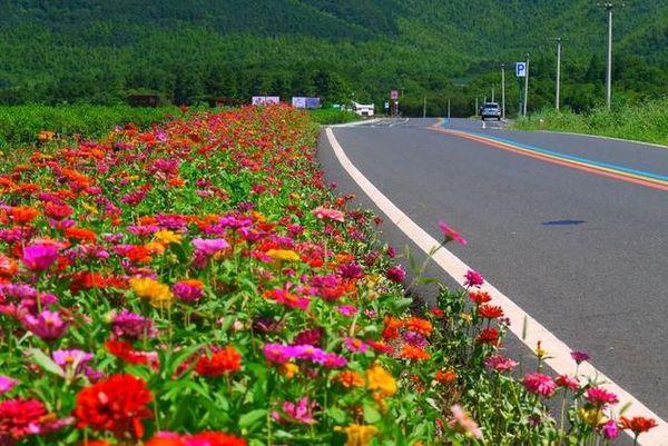 溧阳1号公路哪一段最美呢（溧阳1号公路绝美风景大道）(50)