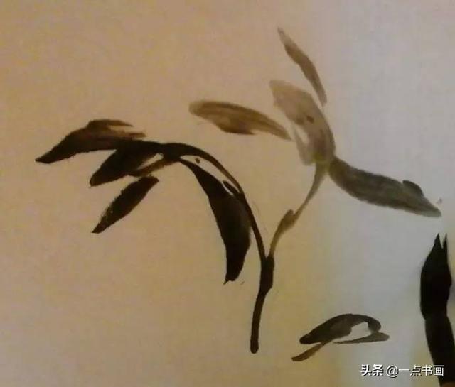 一学就会兰花画法国画技法（国画教程兰花的写意画法）(11)