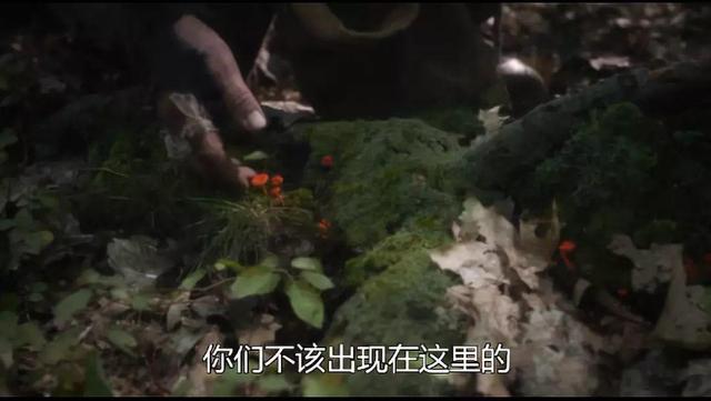 丧尸片全程高能（丧尸片拍成这样天才啊）(5)