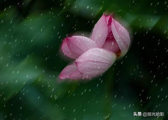 雨中的探戈芭蕾：雨中的探戈(3)