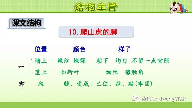 四年级语文上册爬山虎的脚知识点（部编版四年级语文上册第三单元10.爬山虎的脚知识点及练习）(52)