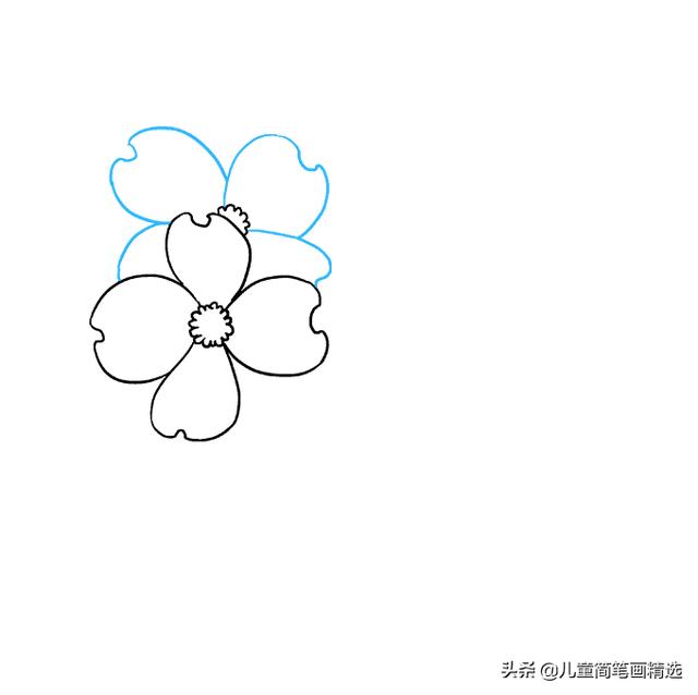 适合小孩子画的简笔画花（儿童简笔画精选-花朵的绘画步骤）(4)