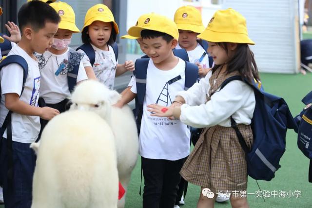 长春第一实验小学中海小学（长春市第一实验中海小学开学第一天）(48)