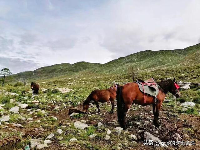 打卡康定木格措景区纯属娱乐（康定情歌木格措景区跟团一日游）(21)