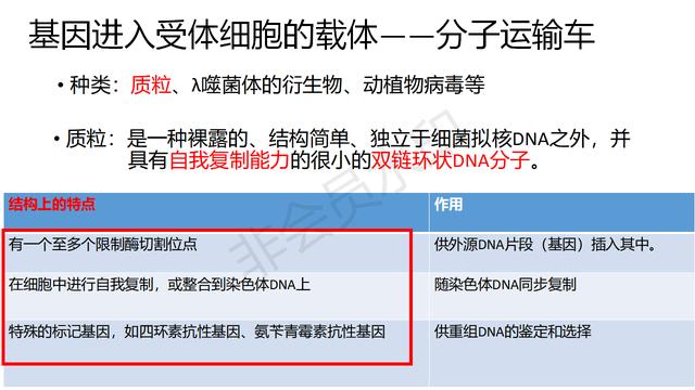 高中基因工程的知识点（带你学高中生物）(4)