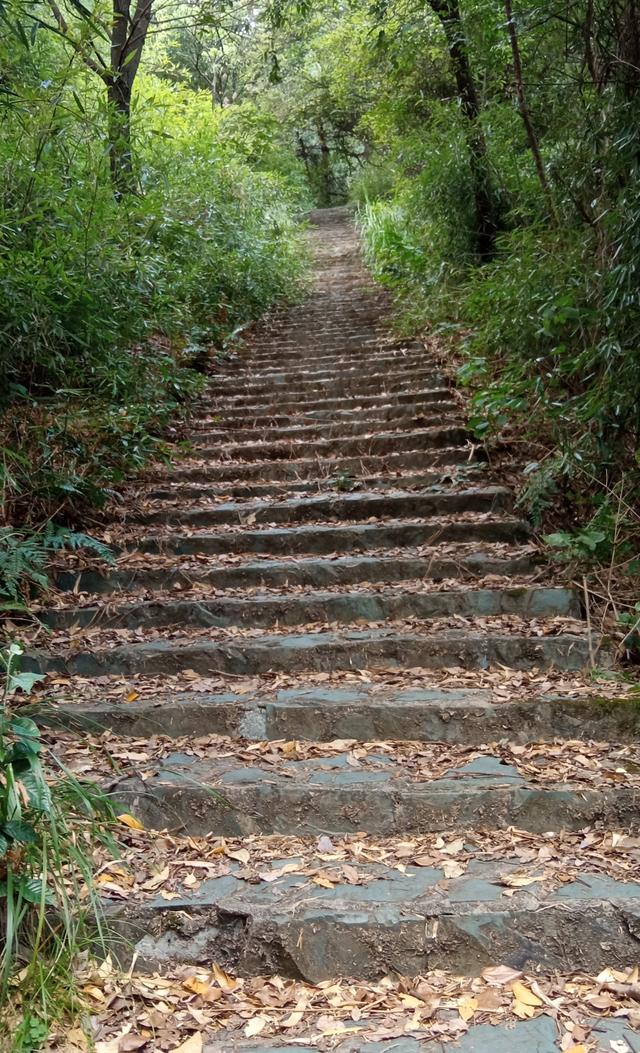 桃花峪登山线路适合步行吗（下午徒步桃花岭公园）(2)