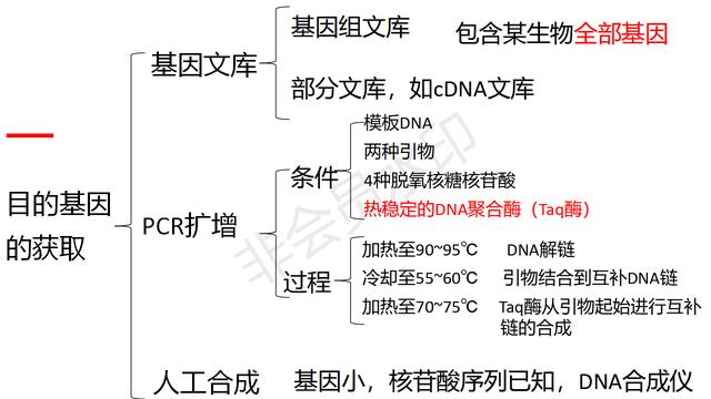 高中基因工程的知识点（带你学高中生物）(6)