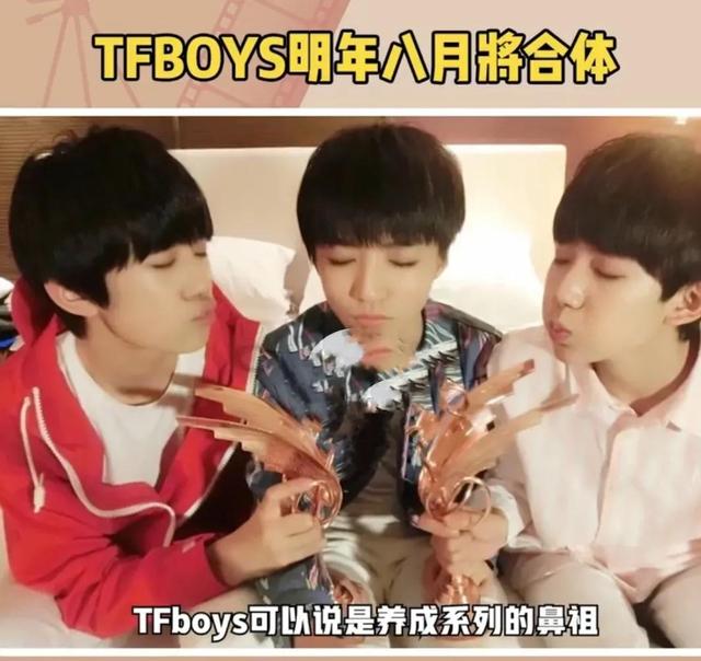 tfboys与四叶草共赴十年之约（TFBOYS和四叶草们的十年之约定在明年的8月6日大家期待吗）(3)