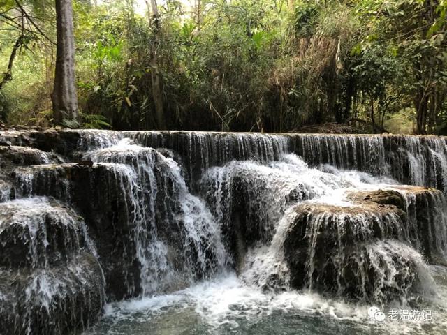 西双版纳避坑旅游必备攻略（云南西双版纳之十八）(34)