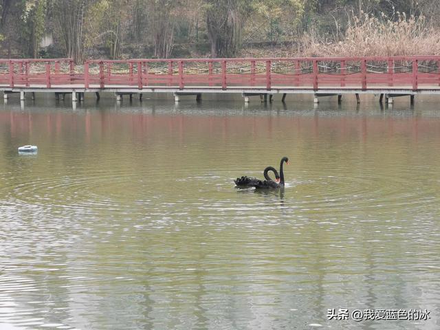 贵阳观山湖一日游最佳地点（重游贵阳第三天）(50)