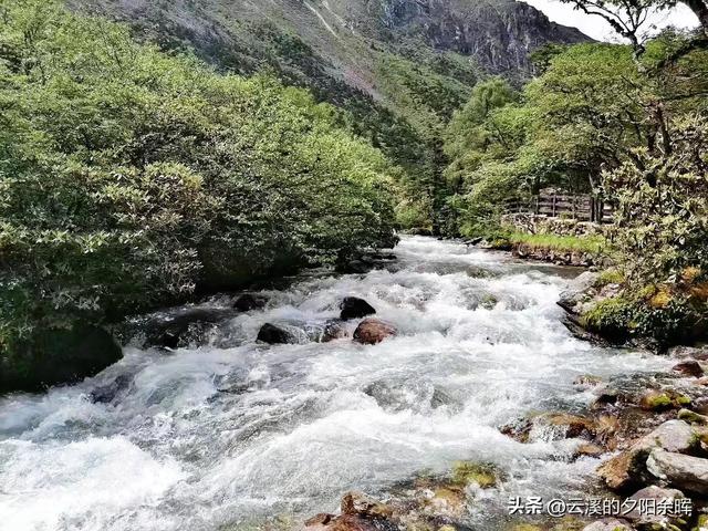 打卡康定木格措景区纯属娱乐（康定情歌木格措景区跟团一日游）(50)