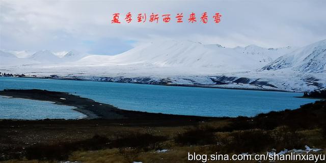 新西兰南岛旅游攻略自由行（夏季到新西兰来看雪）(40)