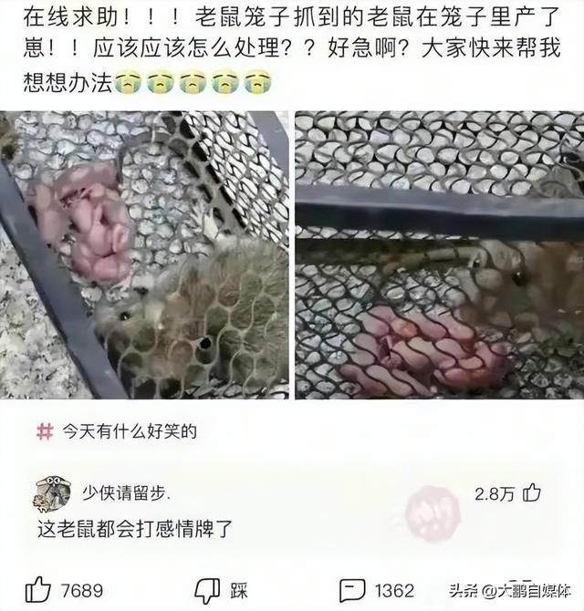 教你动车上如何搭讪邻座的女孩（请问怎么在火车上搭讪这个抖腿的女孩）(4)