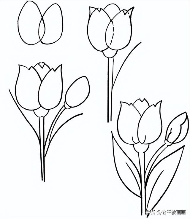 6幅花卉简笔画教程（6幅花卉简笔画教程）(2)