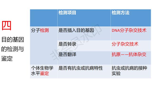 高中基因工程的知识点（带你学高中生物）(9)