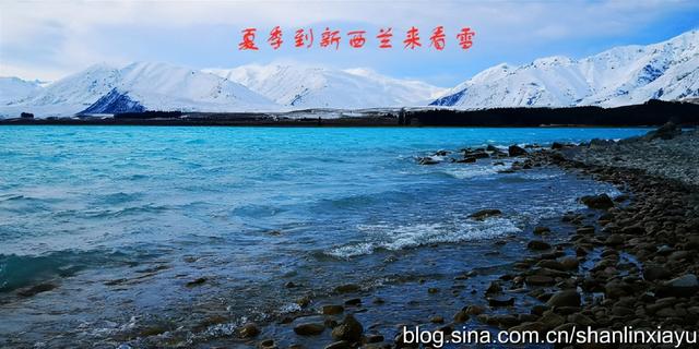 新西兰南岛旅游攻略自由行（夏季到新西兰来看雪）(12)