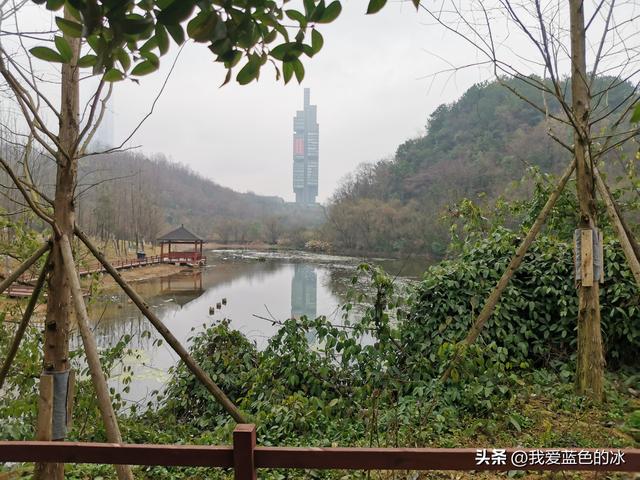 贵阳观山湖一日游最佳地点（重游贵阳第三天）(53)