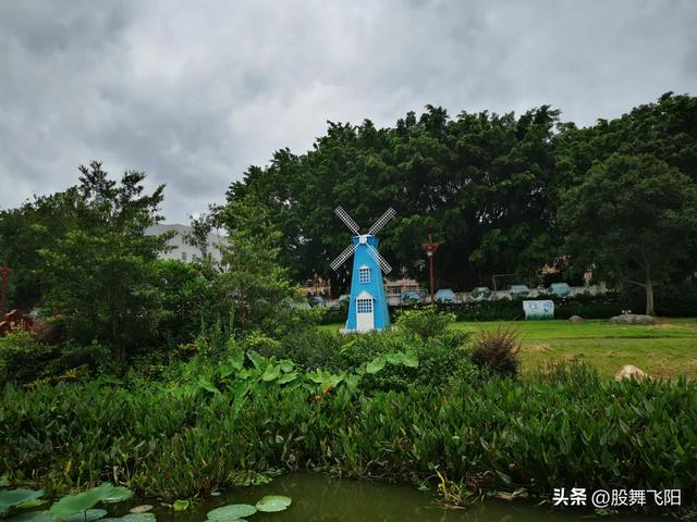 云浮市新兴县湿地公园（云浮新兴县太平湿地公园象窝山路上的一颗明珠）(2)