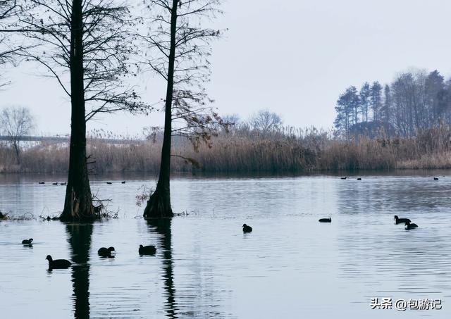 无锡太湖风光湿地公园（从太湖新城延伸到太湖边）(4)