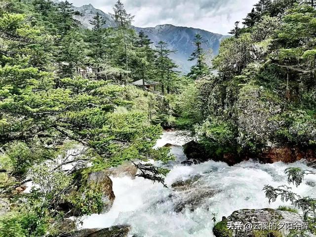 打卡康定木格措景区纯属娱乐（康定情歌木格措景区跟团一日游）(45)