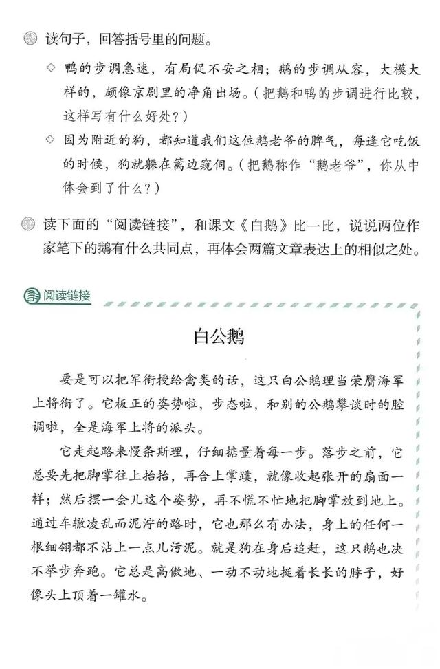 小学四年级语文下册人教版预习单（人教版小学语文四年级下册课本）(62)