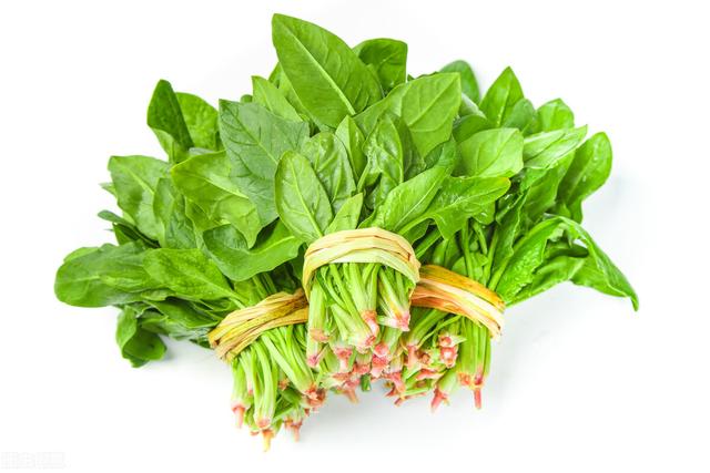 四种春天吃的蔬菜最营养（春天是养生黄金季）(6)
