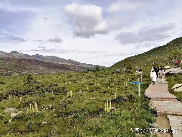 打卡康定木格措景区纯属娱乐（康定情歌木格措景区跟团一日游）(23)