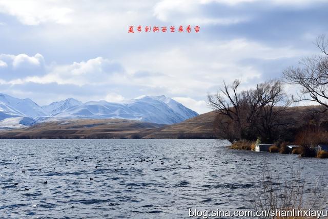 新西兰南岛旅游攻略自由行（夏季到新西兰来看雪）(44)