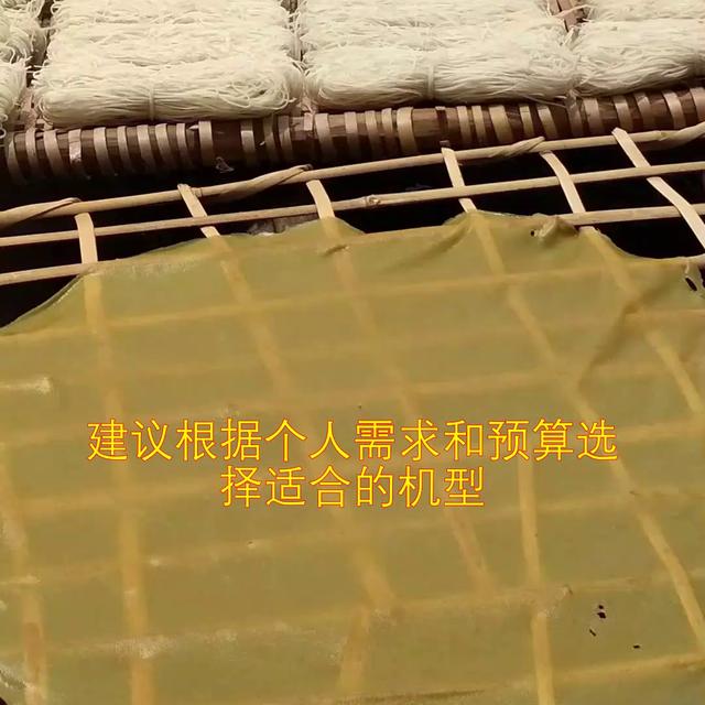 小型米粉制作机器设备（粉皮机器仿手工圆形切条绿豆土豆商用蒸汽方形全自动米粉机...）(2)